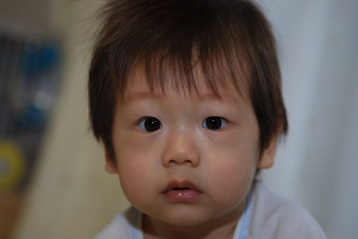 c0008378_23169.jpg