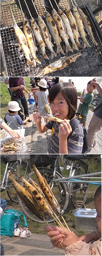 アユの塩焼き丸かじり_c0091679_1865419.jpg