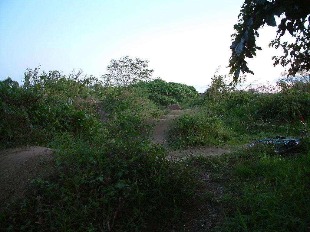 d0105979_010246.jpg