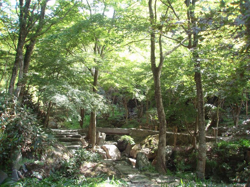 f0101679_8171112.jpg