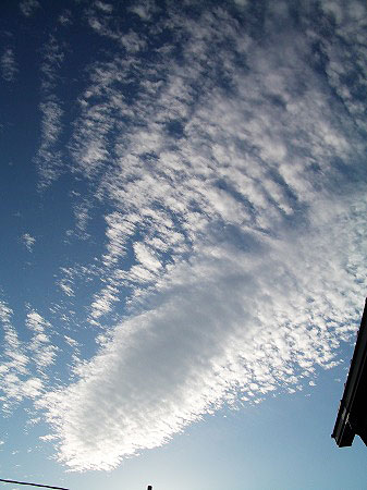 c0045882_22161038.jpg