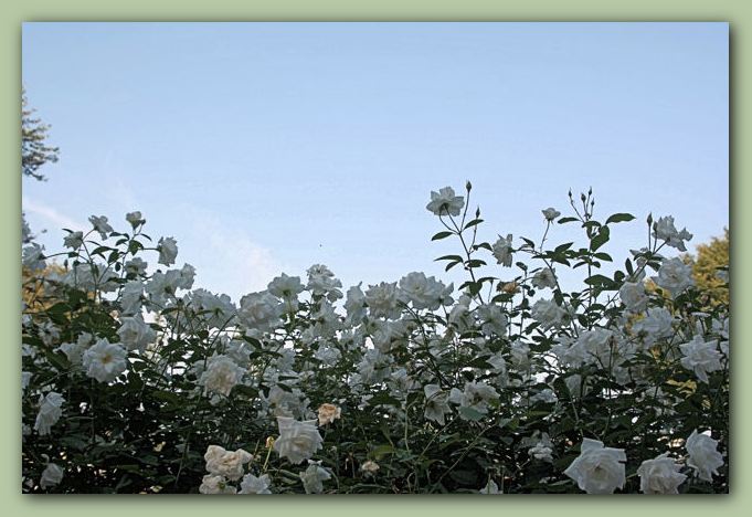 f0079990_10273891.jpg