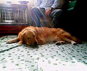c0096393_9525942.jpg