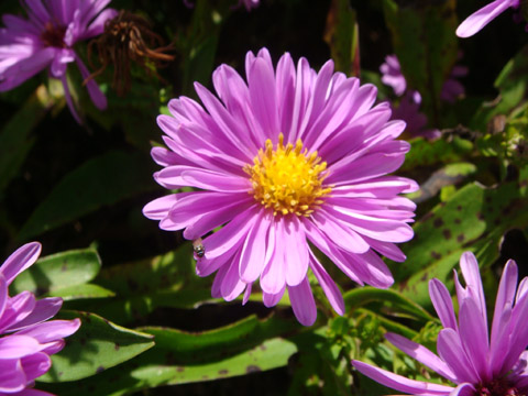 f0146493_10205141.jpg