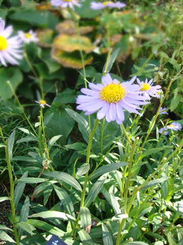 f0146493_1025141.jpg