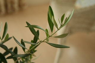 d0121294_22484176.jpg