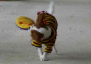 f0046194_1836566.jpg
