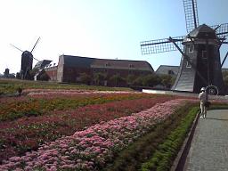c0088395_14275318.jpg
