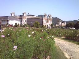c0088395_14315166.jpg