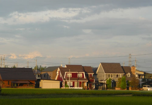 d0000995_1705169.jpg