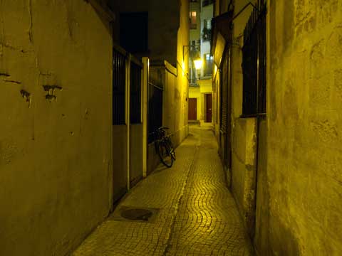 e0103195_372429.jpg