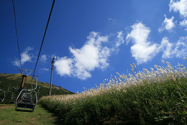 c0067303_21232263.jpg