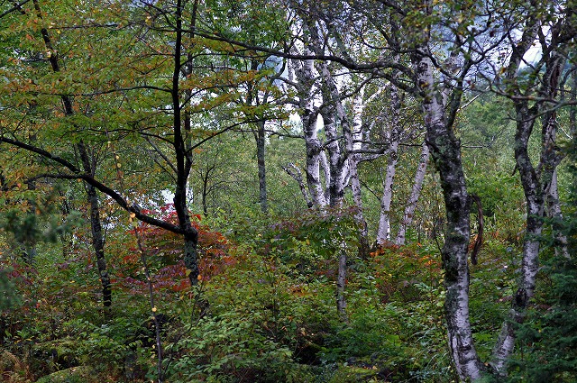 e0039703_0102120.jpg