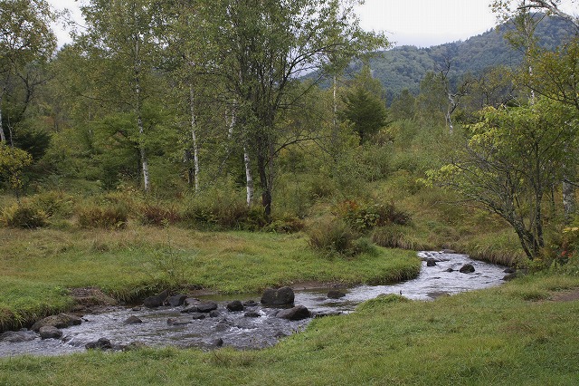 e0039703_0142026.jpg