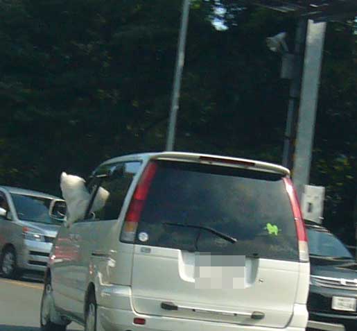 e0018604_14274714.jpg