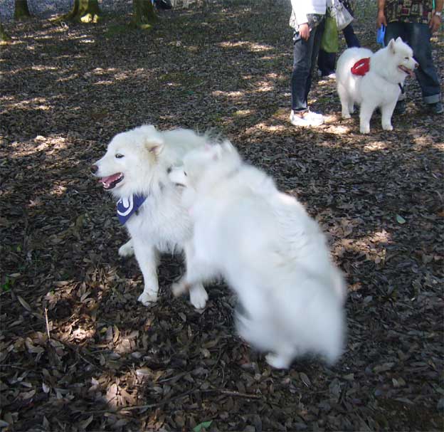 e0018604_14322053.jpg