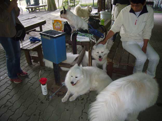 e0018604_1562520.jpg