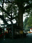 f0127408_22355812.jpg