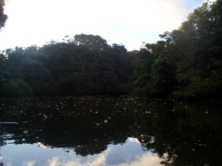 f0023210_16154979.jpg