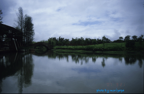 a0094711_22402015.gif