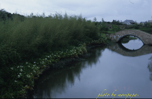 a0094711_22411124.gif