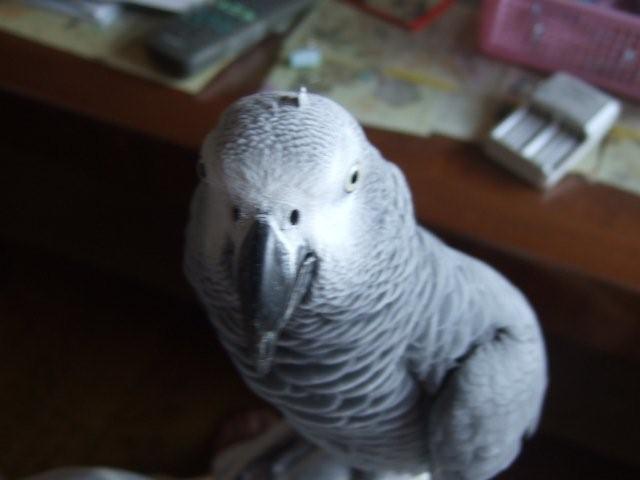 c0133013_0481654.jpg