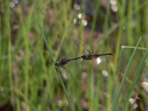 e0002314_15361888.jpg