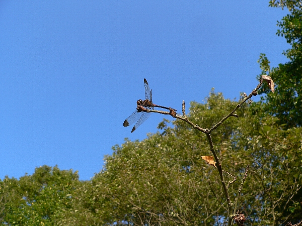 e0002314_15392954.jpg
