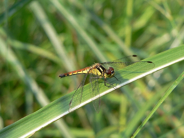 e0002314_15403822.jpg