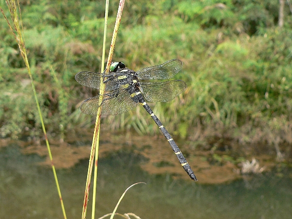 e0002314_15435836.jpg
