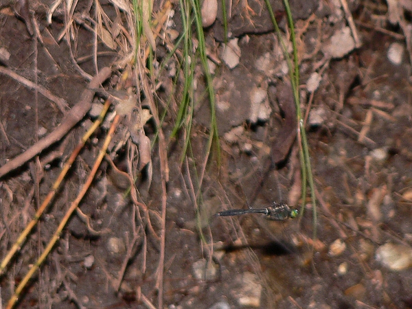 e0002314_15451899.jpg