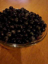 e0090714_1575335.jpg