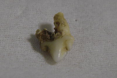f0114416_22521467.jpg