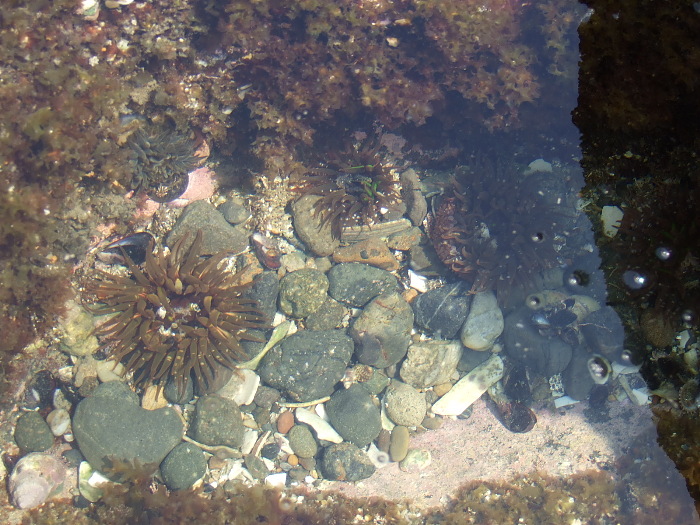 f0143119_2102196.jpg