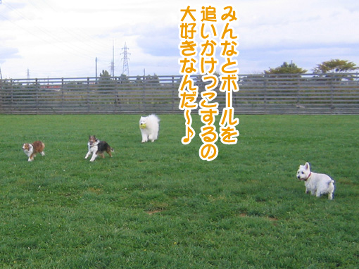a0044521_20231196.jpg