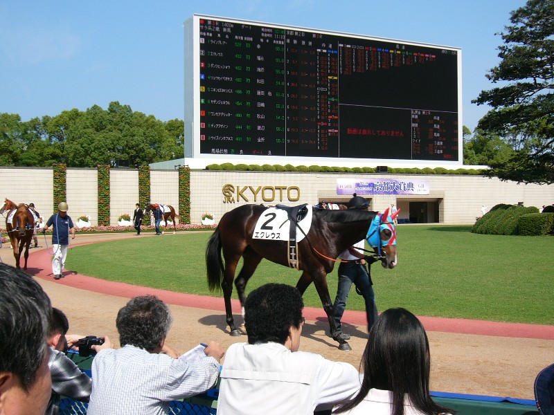 大阪←→京都競馬場 自転車の旅 【京都競馬奮闘(?)編】_b0019221_20253445.jpg