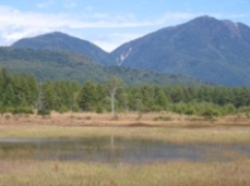 c0138024_1674895.jpg
