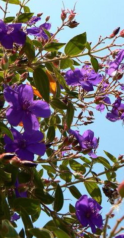f0107724_16522517.jpg