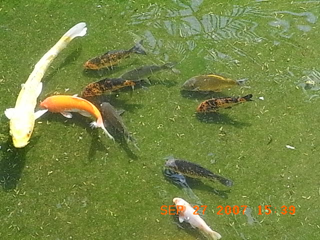 f0032125_19391293.jpg