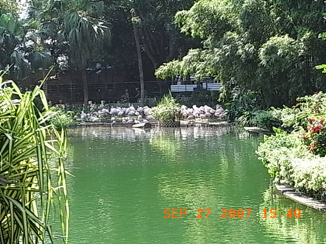 f0032125_19394943.jpg