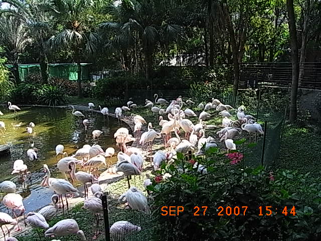 f0032125_1941556.jpg