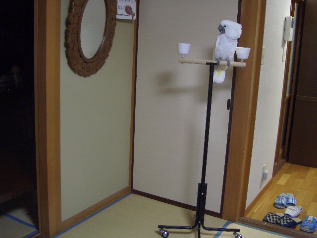 e0107730_22184527.jpg