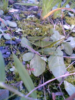 f0082141_16443880.jpg