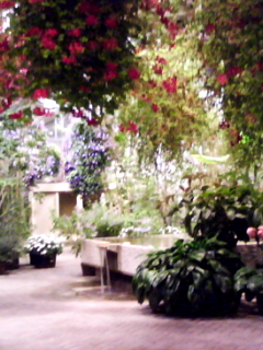 e0016542_2242876.jpg