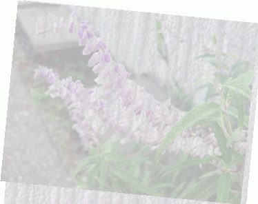 f0031546_20382032.gif