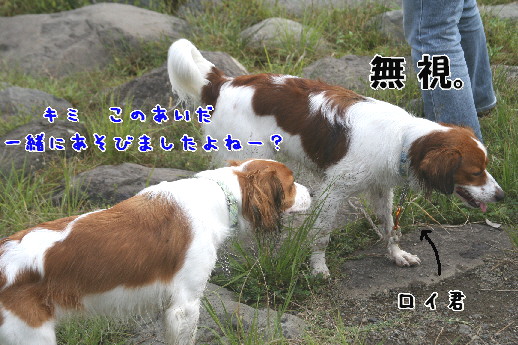 d0013149_013572.jpg
