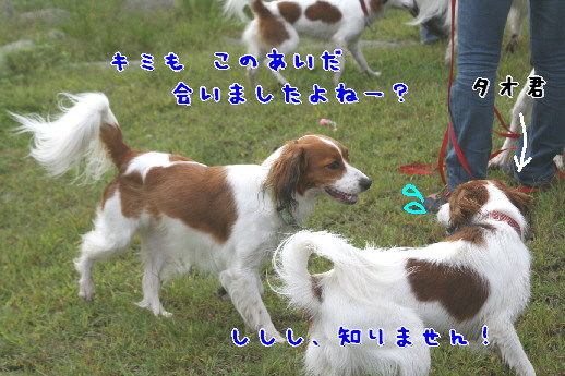 d0013149_0165723.jpg