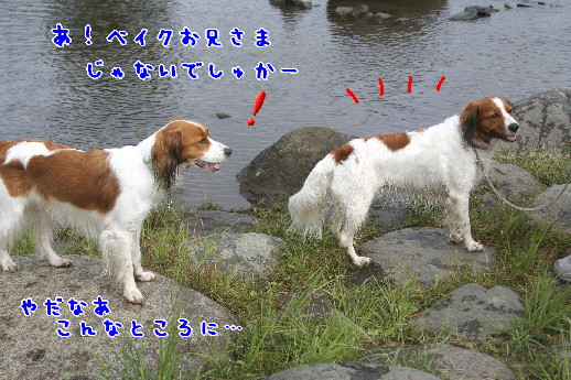 d0013149_0314610.jpg