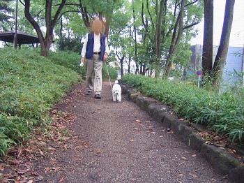 散歩_a0089450_19465982.jpg