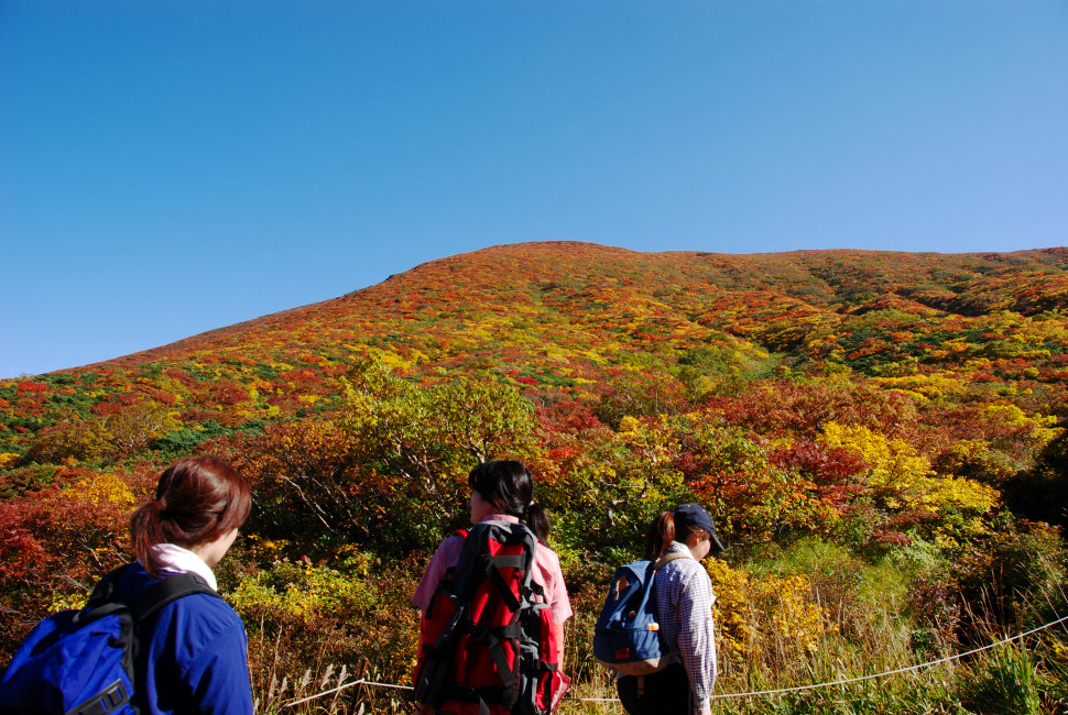 2007須川紅葉（二）_d0094150_21591538.jpg